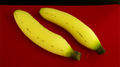 Sponge Bananas (large/2 pieces)  by Alexander May