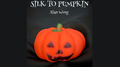 Silk to Pumpkin by Alan Wong