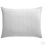 Orchids Lux Home Merida Pillow Shams (Set of 2) - Mist