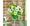 Fresh Assorted Flower Mix