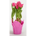 Tulip 6 inch potted plant