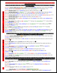 054S) 2026 Junior Study Color Coded Pages - Large Print Study