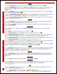 054b)  Do NOT order until you read description -  2026 Junior Study Color Coded Pages - Large Print Bible