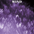 Wind-S/T-Oslo psych trio Heavy psych/free jazz debut-NEW 12"