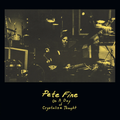 PETE FINE-On A Day Of A Crystalline Thought-NEW LP