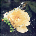 Massimo Trotta-Newborn Flower -Italian Jazz-NEW CD