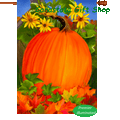 Autumn Pumpkin : Illuminated Flags