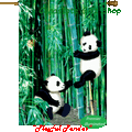Playful Pandas : Illuminated Flags