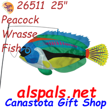 26511  Peacock Wrasse Swimming Fish (26511)