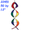 22451 Rainbow , DNA Helix Star Twister (22451)