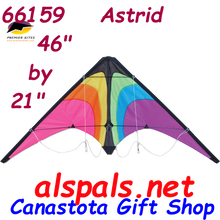 66159  Astrid: Zoomer Sport Kites by Premier (66159)