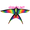 Rainbow Skylark : Bird Kite (44773)
