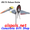 25173 Pelican 19.5": Petite Wind Spinner (25173)