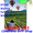 57158 Waiting for the Winner (Hot Air Balloons) : Illuminated House Flag (57158)