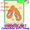 57132 Orange Flip Flops : Illuminated House Flag (57132)