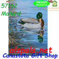 57152 Mallard (Duck) : Illuminated House Flag (57152)