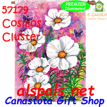 57179  Cosmos Cluster : Illuminated House Flag (57179)
