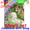 57189  Unicorn: Illuminated House Flag (57189)