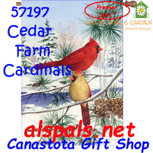 Cedar Farn Cardinals : Premier SoftTM House Flag (57197)