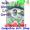 56485  Water Lily Garden : Garden Flag by Premier Illuminated (56185)