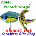 25443 Peacock Wrasse  ,  Aquatic Life Spinners (25443)