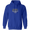Image 16