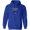 Image 16