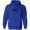 Image 16