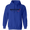 Image 16