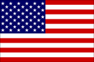 AMERICAN FLAG STATIC WINDOW CLING - CUSTOMIZED