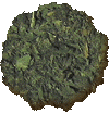 Spinach Elements