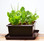 UrBin Grower Self-Watering Growing System 2