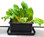 UrBin Grower Self-Watering Growing System