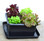 UrBin Grower Self-Watering Growing System - Capacity Demonstration