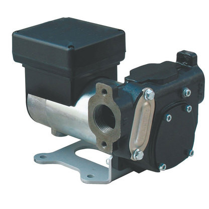 Dual Voltage 12/24 Volt Diesel Pump 30/60 LPM