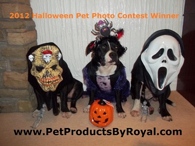 Halloween 2012 PetProductsByRoyal.com Pet Photo Contest Winner The 3 Amigos
