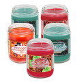 Limited Time Offer
Now Available in a Very Popular Holiday Fragrances Bundle
You will receive 5 Assorted Holiday fragrance candles: 

* Pumpkin Spice
* Sugared Cranberry
* Cinnamon Apple
* Fresh Evergreen