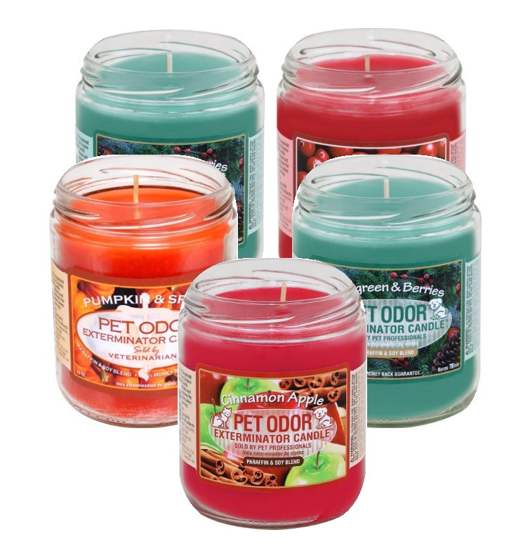 39 Best Pictures Pet Odor Candles / Pet Odor Exterminator Southern Magnolia Deodorizing Candle ...