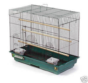 Parakeet flight deals cage