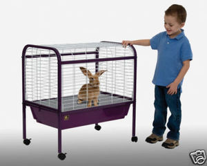prevue guinea pig cage