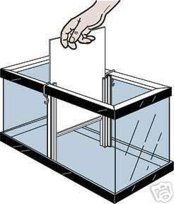 40 gallon long aquarium