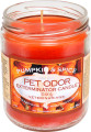 Pumpkin & Spice

Everyone finds it hard to resist the aroma of warm, homemade pumpkin pie and spices. A warm blend of buttery pumpkin with nutmeg, cinnamon, clove, and ginger.