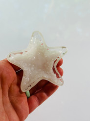 collective starfish dish II