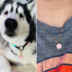 smiley pet set