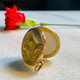 locket I filled for Alanis! 