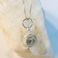 succulent breast milk pearl