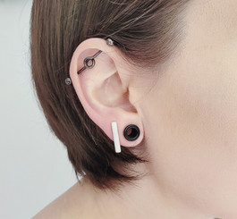 bar earrings