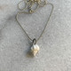 conch