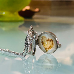 shown with a milk background layered with flower petals and umbilical cord shavings