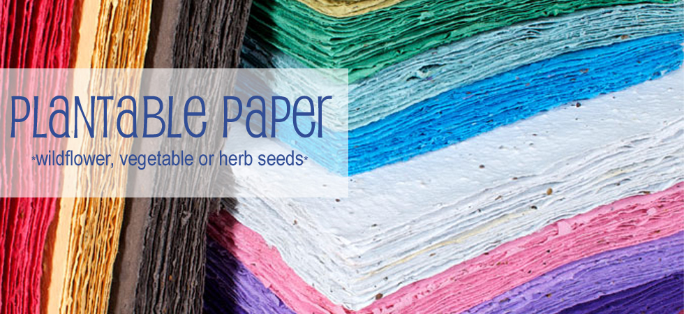 Plantable Paper DIY Seeded Paper Sheets